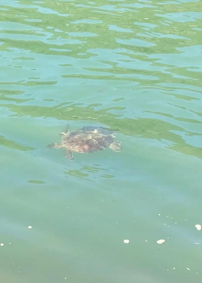 Gruta Da Sereia Suites Ubatuba Esterno foto